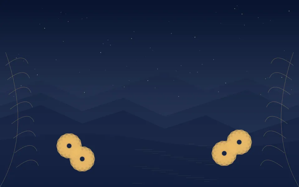 marigold night